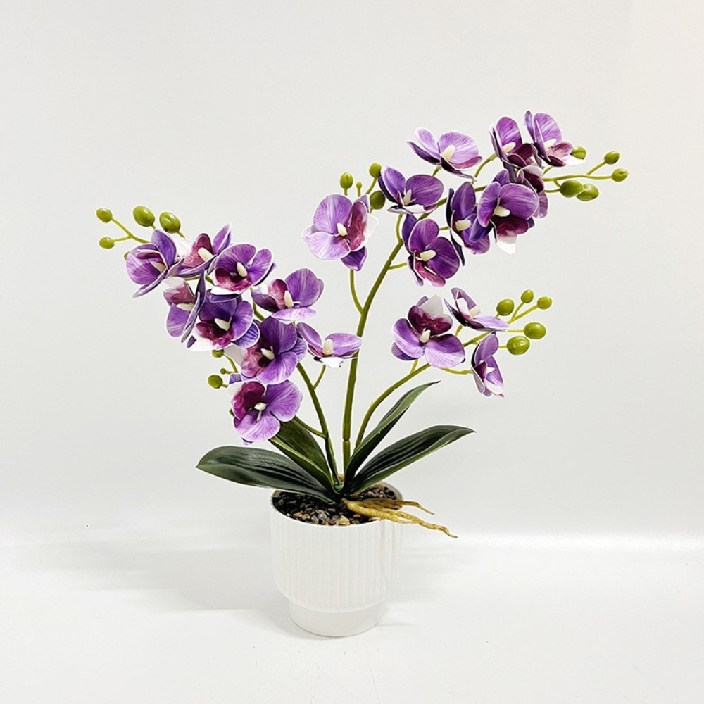 Orchid Potting Mix - Sztuczna orchidea motylkowa Multi-Bloom w białej