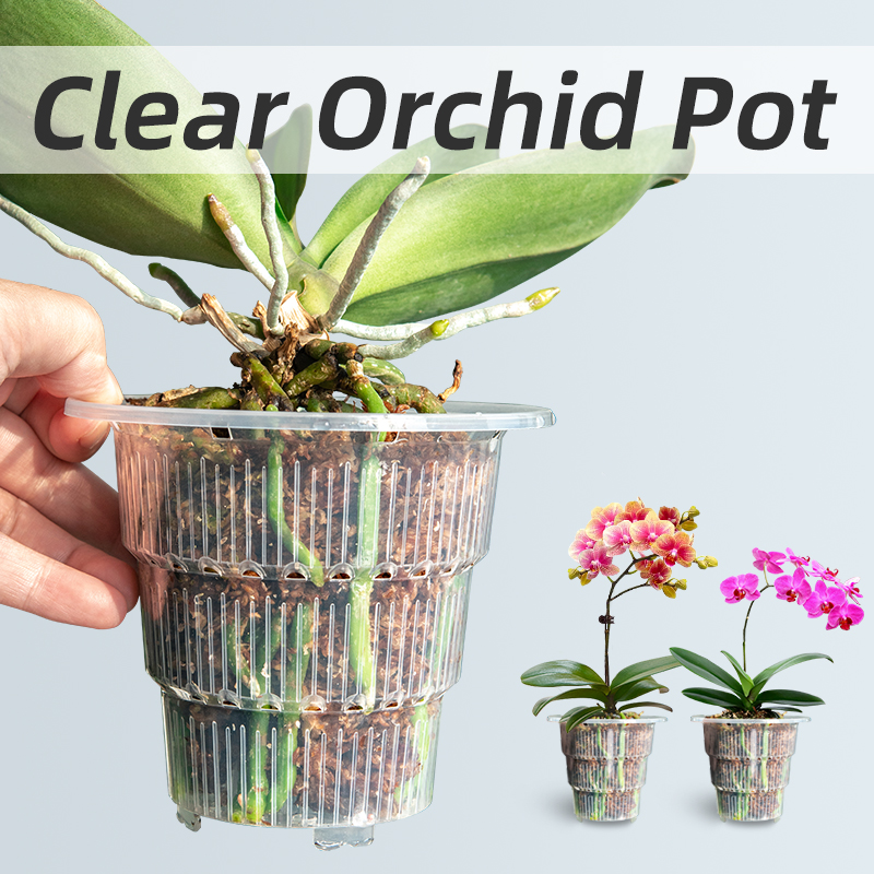 Orchid Potting Mix - Przezroczysty z tworzywa sztucznego doniczki do