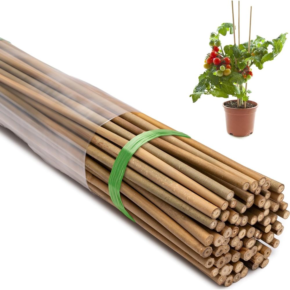 70 sztuk naturalnych bambusowy – Plant Support Stake recenzja i cena