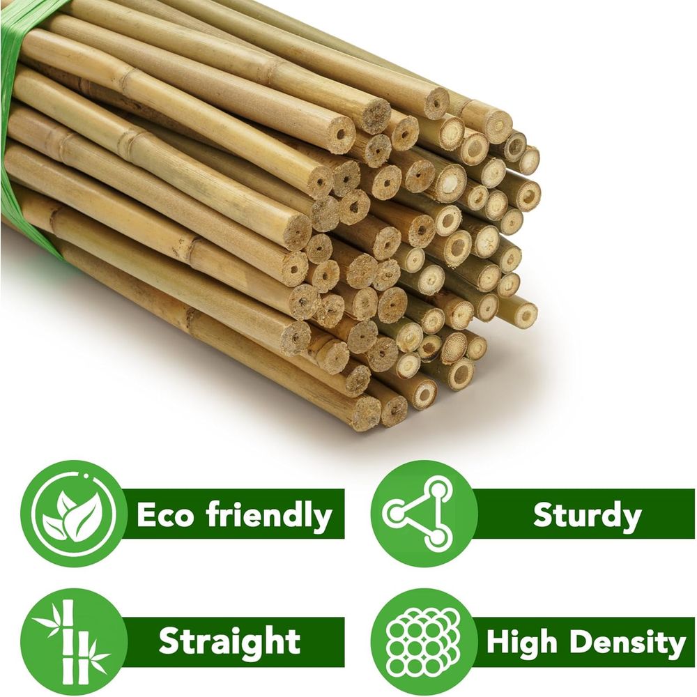70 sztuk naturalnych bambusowy – Plant Support Stake recenzja i cena