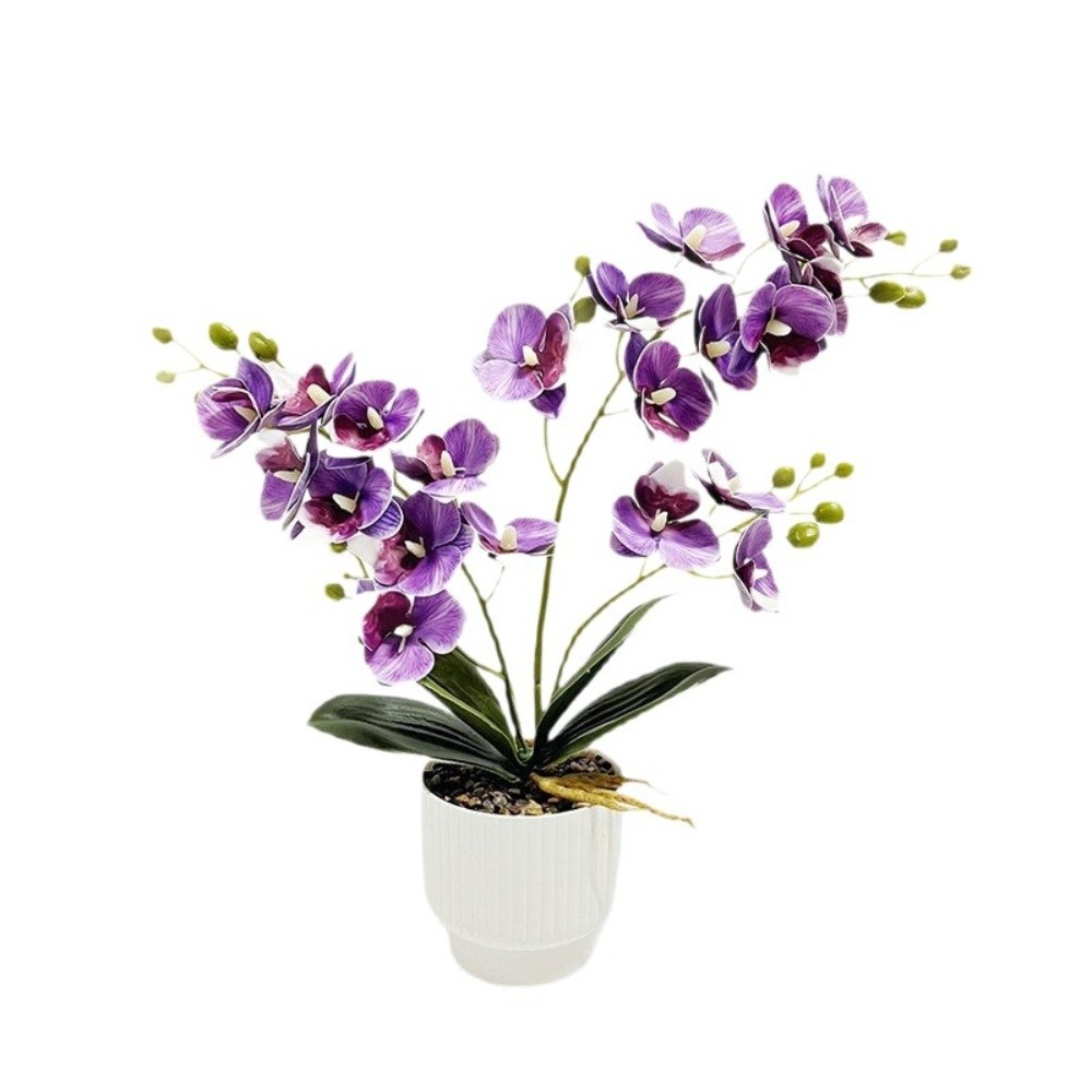 Sztuczna orchidea motylkowa Mu – Orchid Potting Mix recenzja i cena