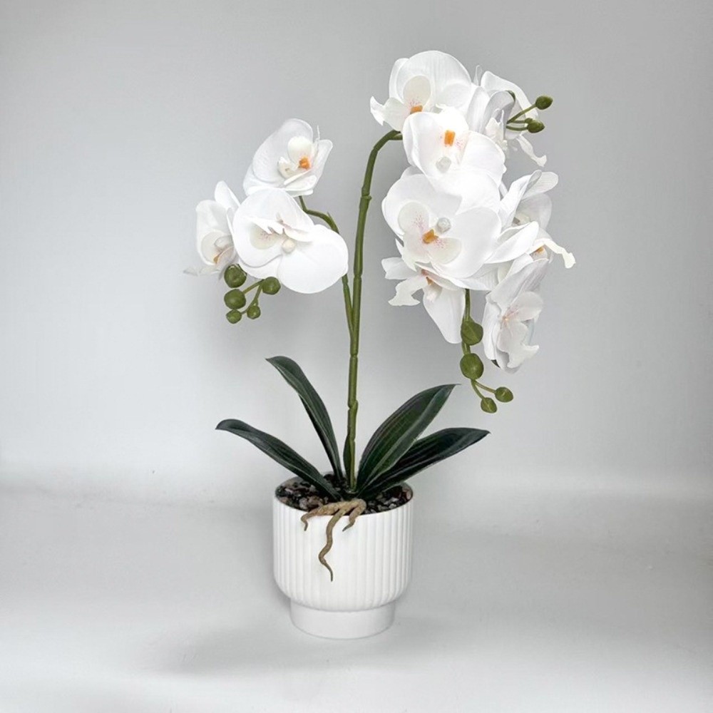 Sztuczna orchidea motylkowa Mu – Orchid Potting Mix recenzja i cena