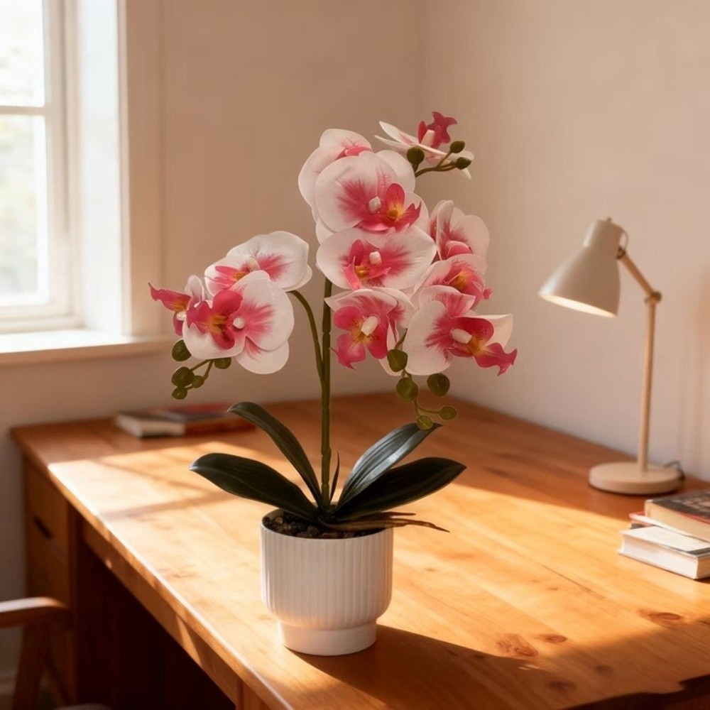 Sztuczna orchidea motylkowa Mu – Orchid Potting Mix recenzja i cena