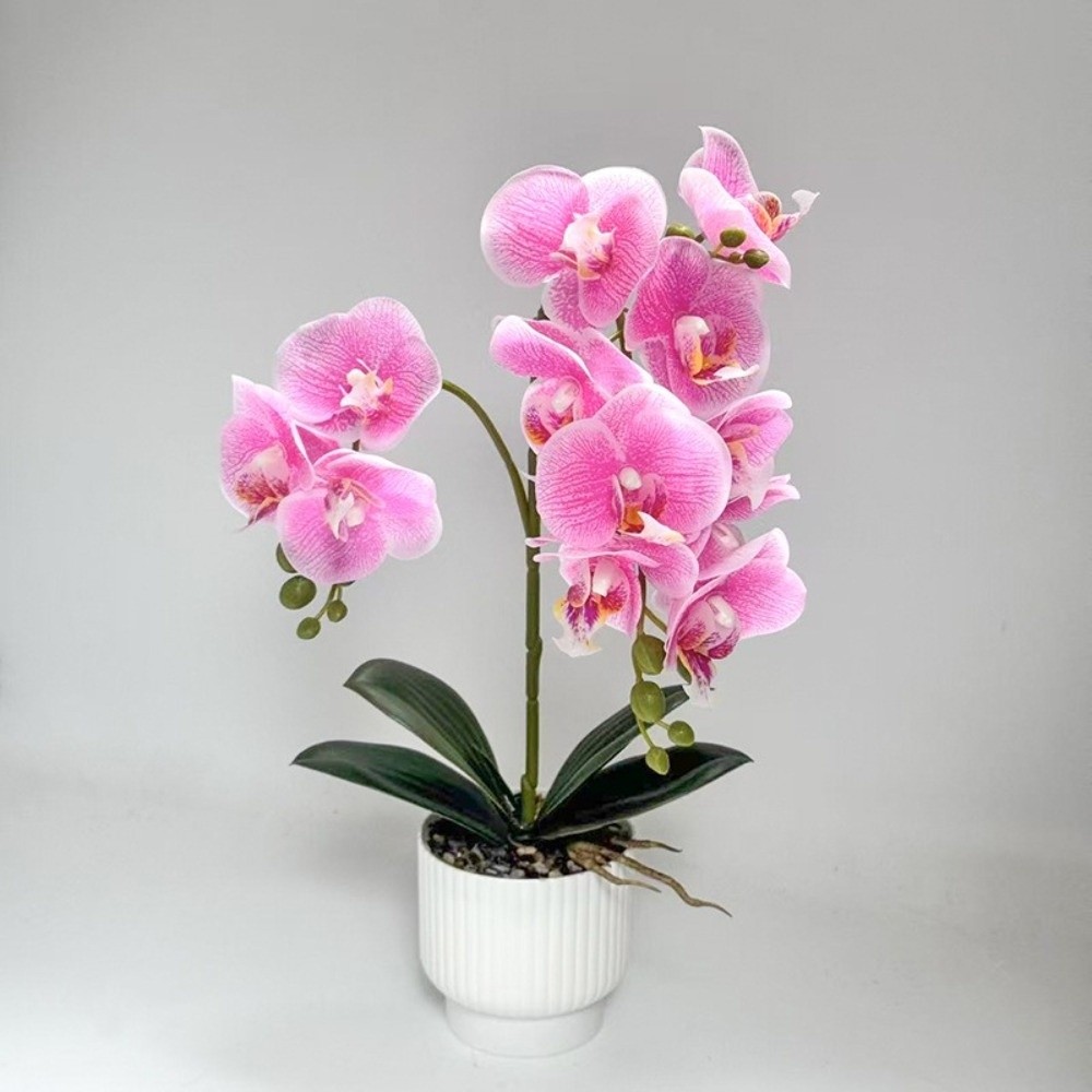 Sztuczna orchidea motylkowa Mu – Orchid Potting Mix recenzja i cena