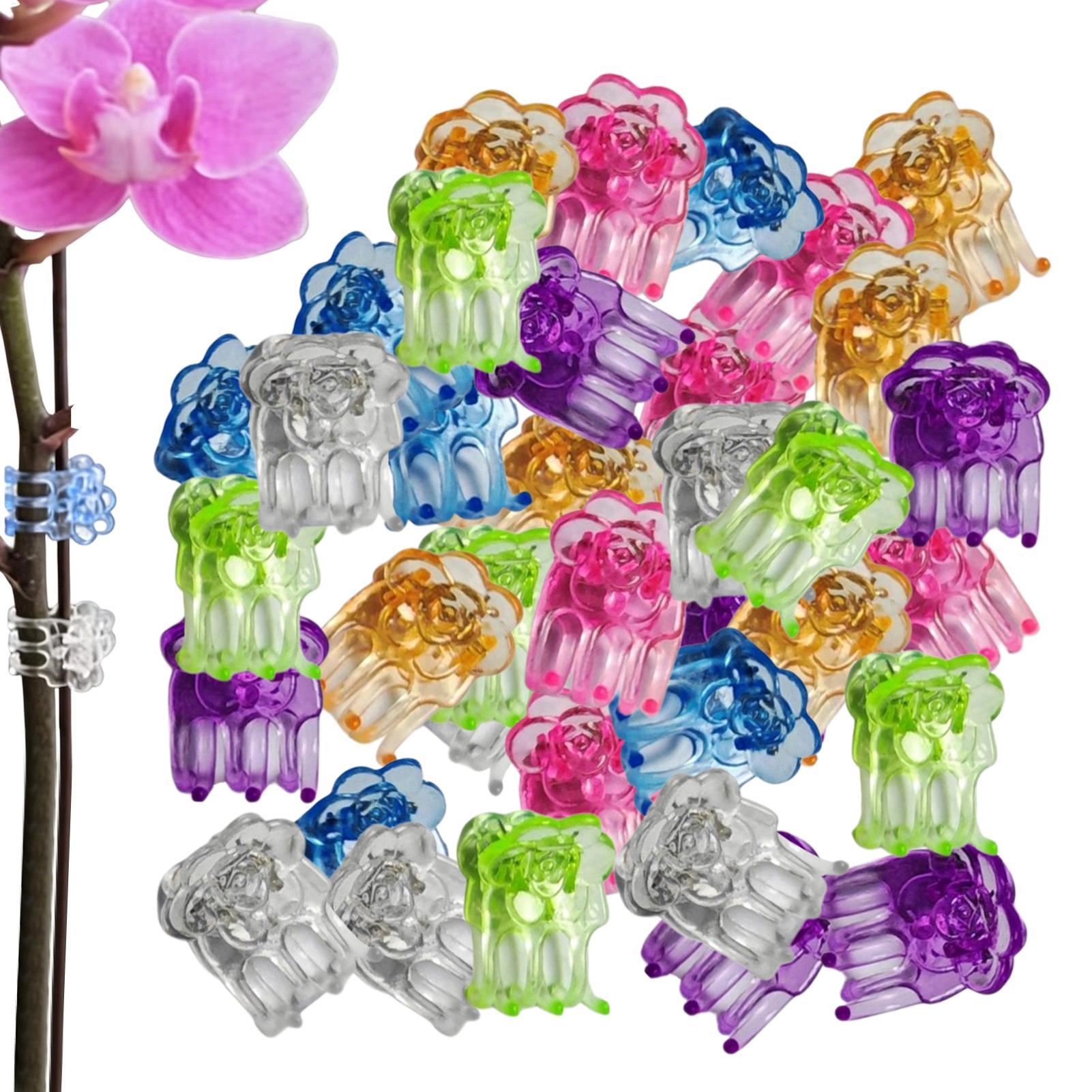 Klipsy do orchidei 60 sztuk, k – Orchid Potting Mix recenzja i cena