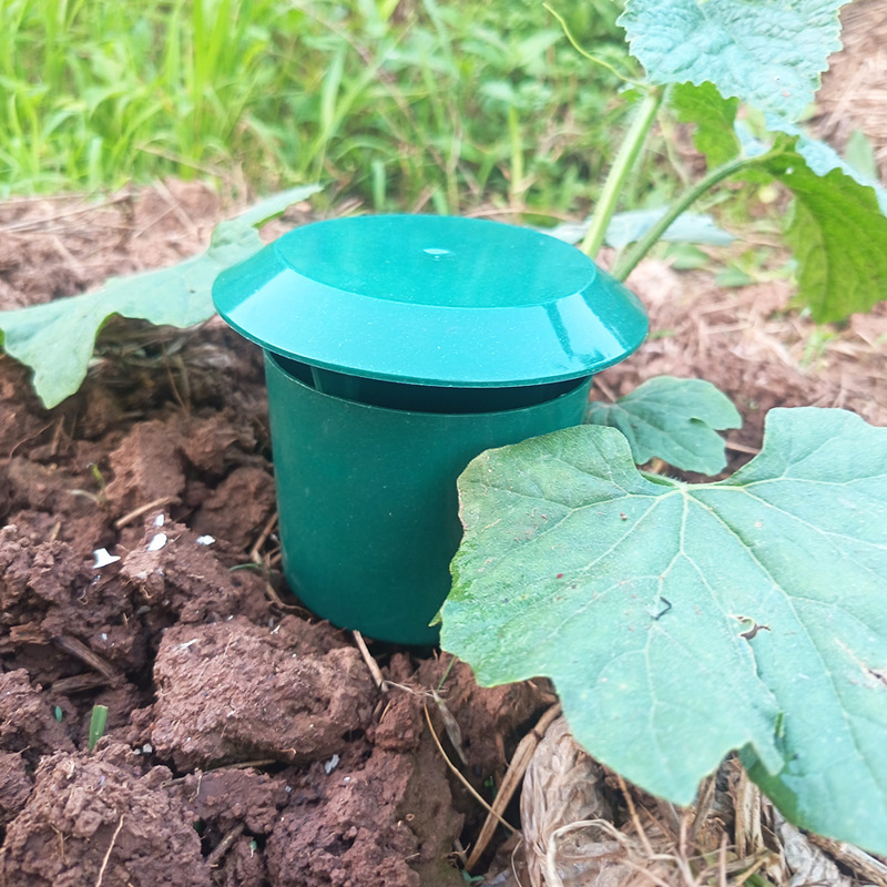 10/1 SZT. Pułapki na ślimaki,  – Gardening Tools Toolstation recenzja i cena