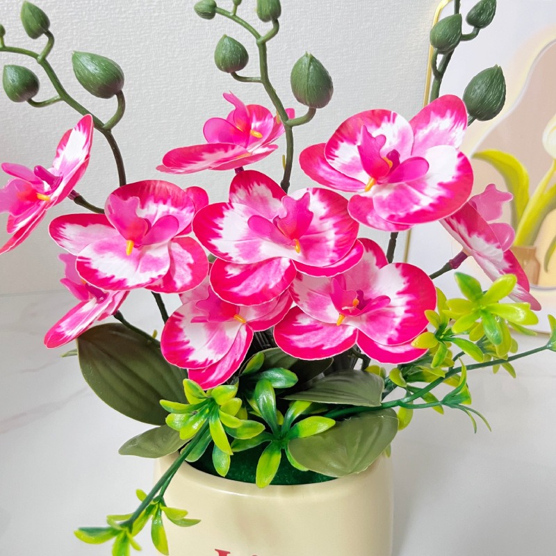 Elegancka, wysokiej jakości sz – Orchid Potting Mix recenzja i cena