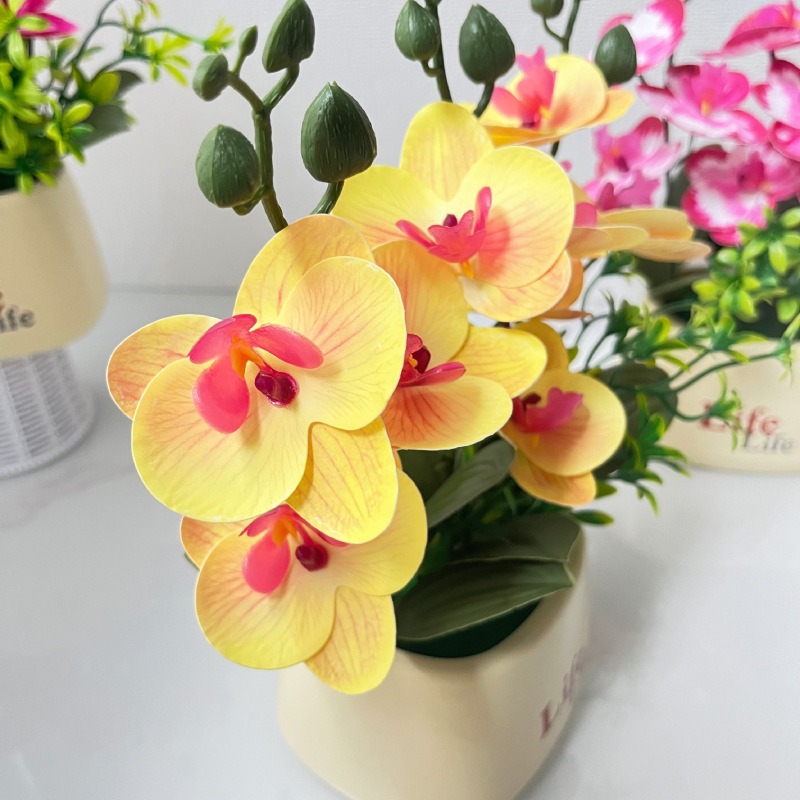 Elegancka, wysokiej jakości sz – Orchid Potting Mix recenzja i cena