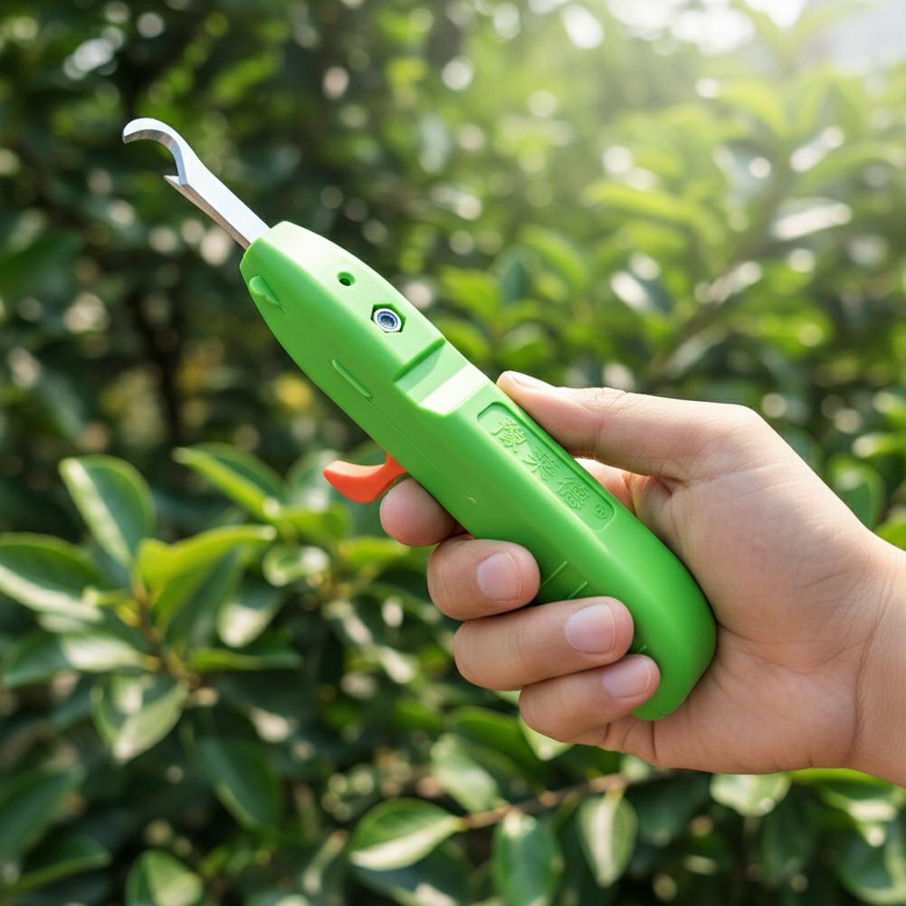 Nożyce do zbioru owoców i warz – Gardening Tools Cutter recenzja i cena