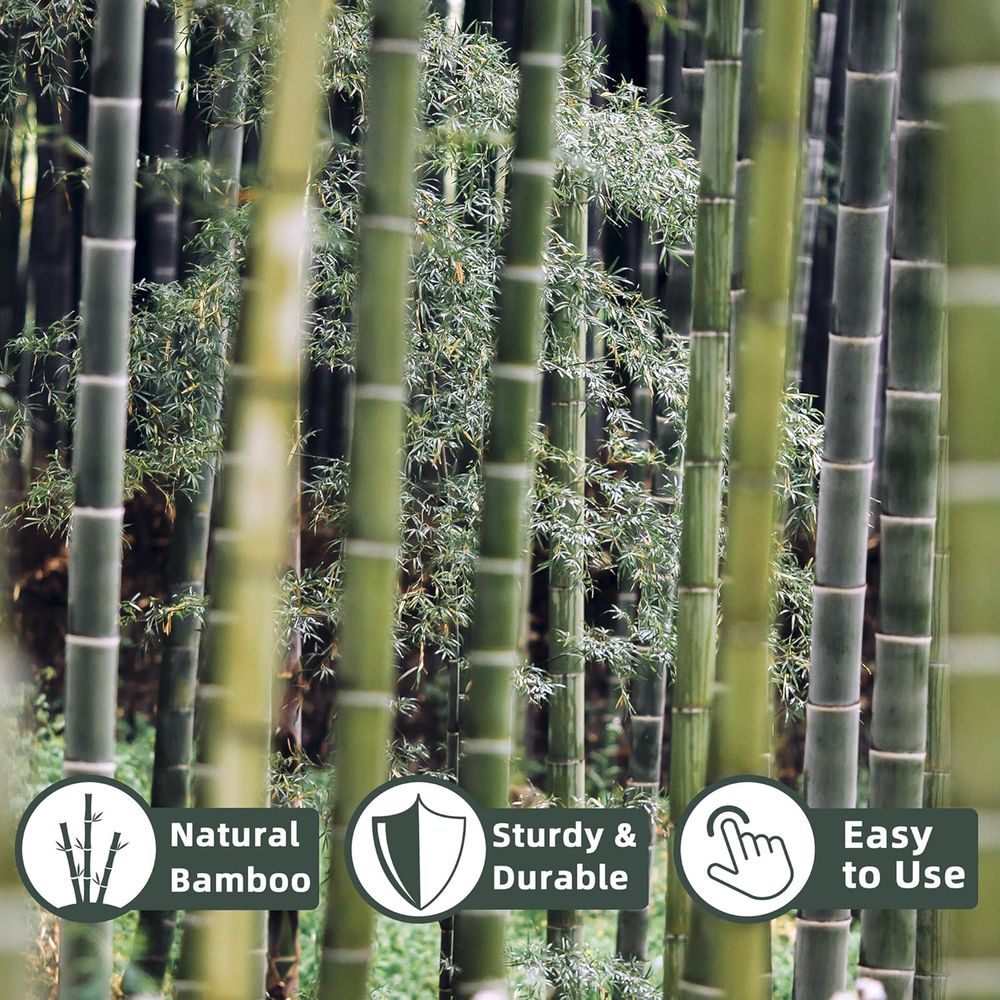 50 sztuk bambusowych palików d – Plant Support Stake recenzja i cena