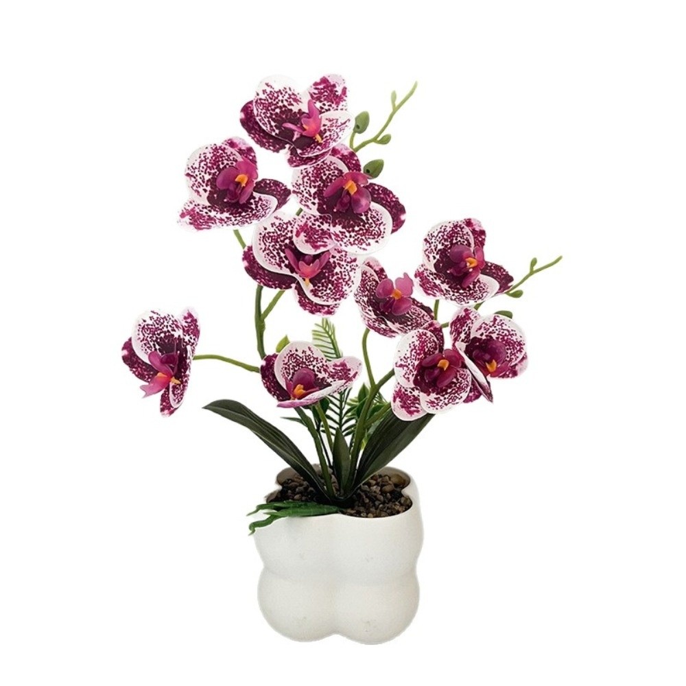 Sztuczna orchidea motylkowa Mu – Orchid Potting Mix recenzja i cena