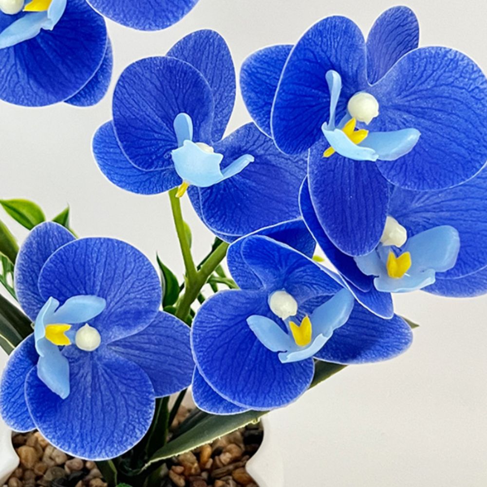 Sztuczna orchidea motylkowa Mu – Orchid Potting Mix recenzja i cena