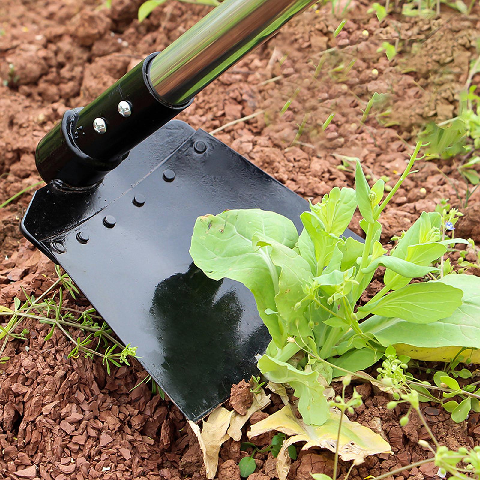 Siekiera do pielenia, motyka,  – Gardening Tools Long recenzja i cena