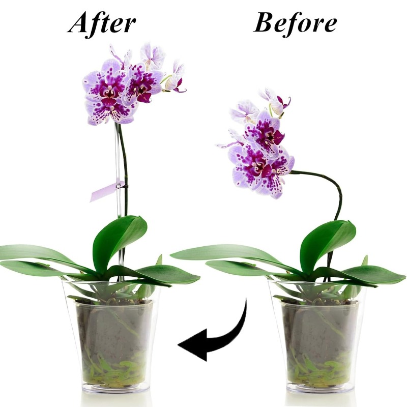 Wielorazowe Przezroczyste Podp – Orchid Potting Mix recenzja i cena