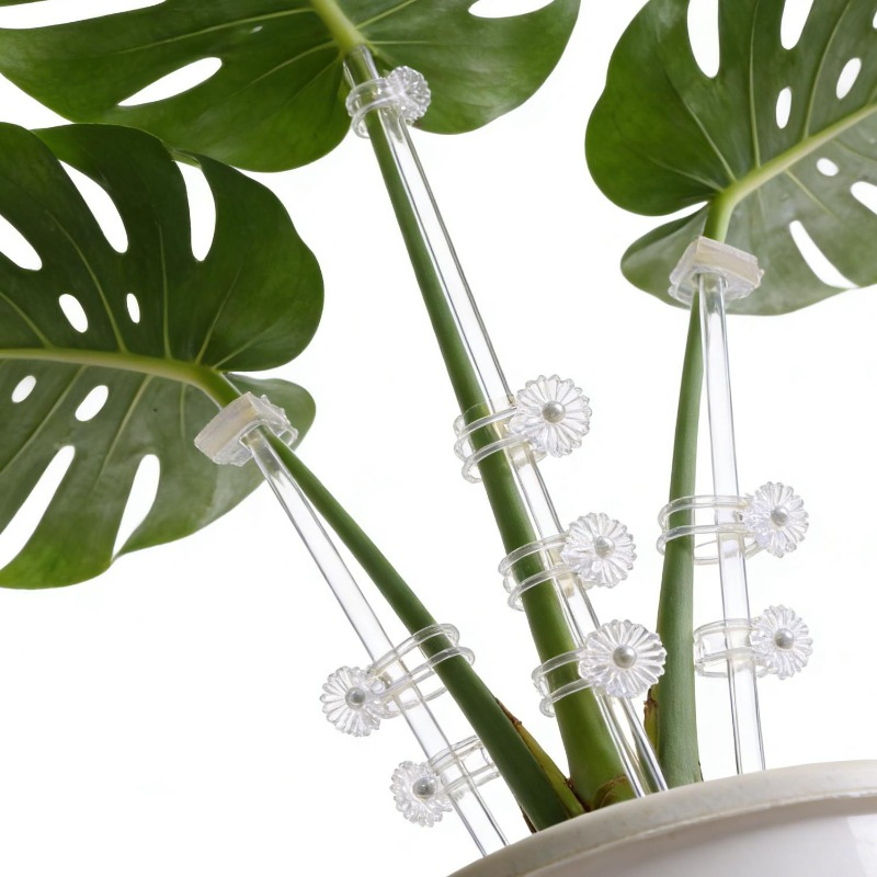 Wielorazowe Przezroczyste Podp – Orchid Potting Mix recenzja i cena