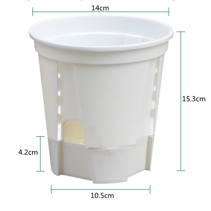 Przezroczysty garnek do orchid – Orchid Potting Mix recenzja i cena