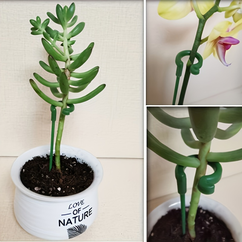 6 szt. Zielone plastikowe podp – Orchid Potting Mix recenzja i cena